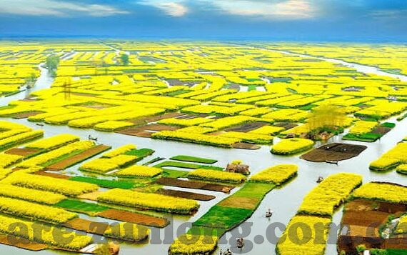 九游大厅软件游戏大厅下载app优化-优化九游大厅软件游戏大厅下载体验