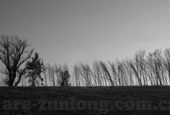 足球比分的价位-足球比分背后的价位，一场数据与价值的深度博弈